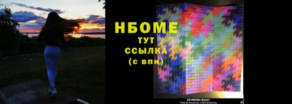 ГАЛЛЮЦИНОГЕННЫЕ ГРИБЫ Гусев