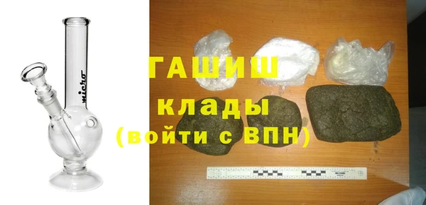 ГАЛЛЮЦИНОГЕННЫЕ ГРИБЫ Гусев