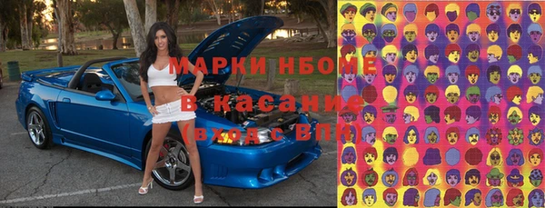 ПСИЛОЦИБИНОВЫЕ ГРИБЫ Гусь-Хрустальный