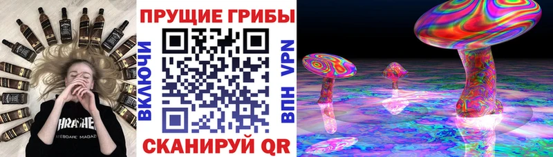Купить  Новотроицк  Галлюциногенные грибы MAGIC MUSHROOMS 